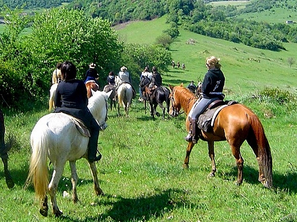 a cavallo tra i boschi