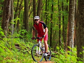 Mountain bike